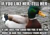 if you like her tell her, if she likes you good for you, if not move on and free yourself from misery, actual advice mallard, meme