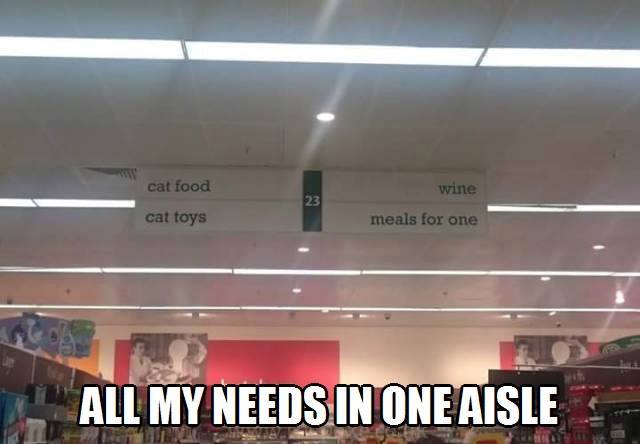 all my needs in one aisle, cat food, cat toys, wine, meals for one. meme