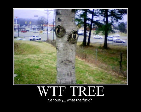 wtf tree, seriously... wtf