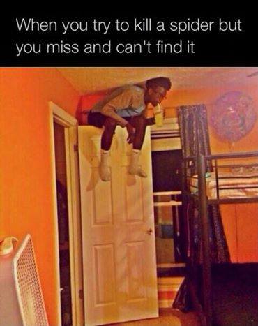 when you try to kill a spider but you miss and can't find it