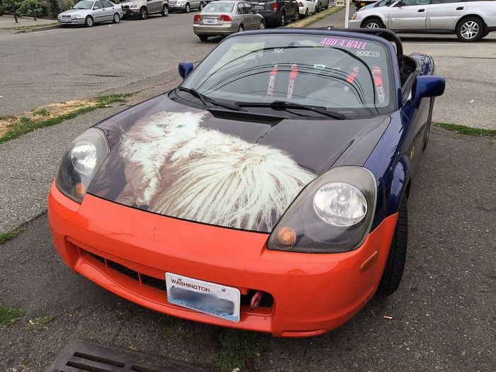 a car paint job that the internet is sure to love