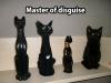 master of disguise, black kitten sitting with black figurine cats