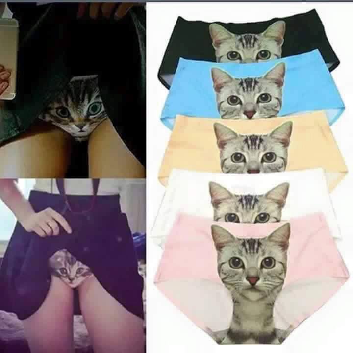 peeking pussy cat underwear line for women