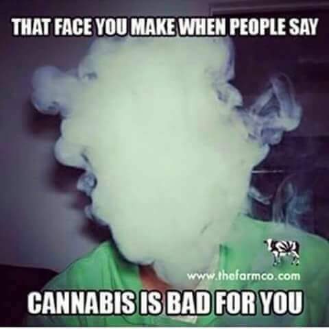 that face you make when people say cannabis is bad for you, cloud of smoke, lol, meme