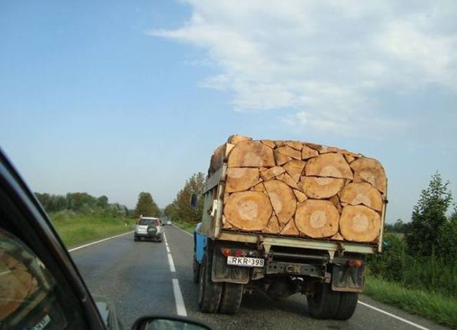 old log piling in the back of this perfect truck