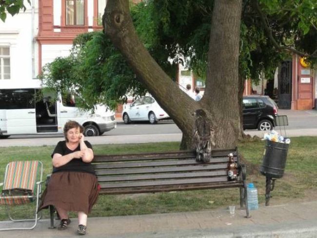 eagle chilling on a bench in a park, wtf