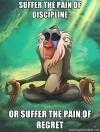 suffer the pain of discipline or suffer the pain of regret, rafiki meditating meme