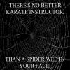 there's no better karate instructor than a spider web in your face