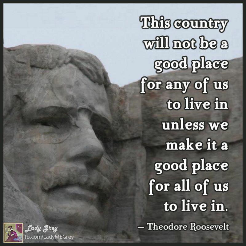 this country will not be a good place for any of us to live in unless we make it a good place for all of us to live in, theodore roosevelt