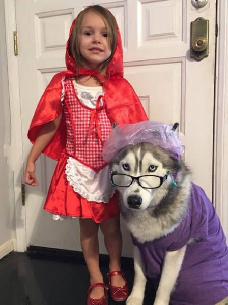 little red riding hood costume with dog, cute