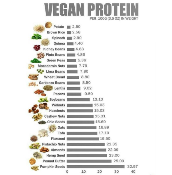 best vegan protein sources