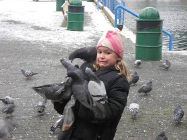 little girl swarmed by pigeons