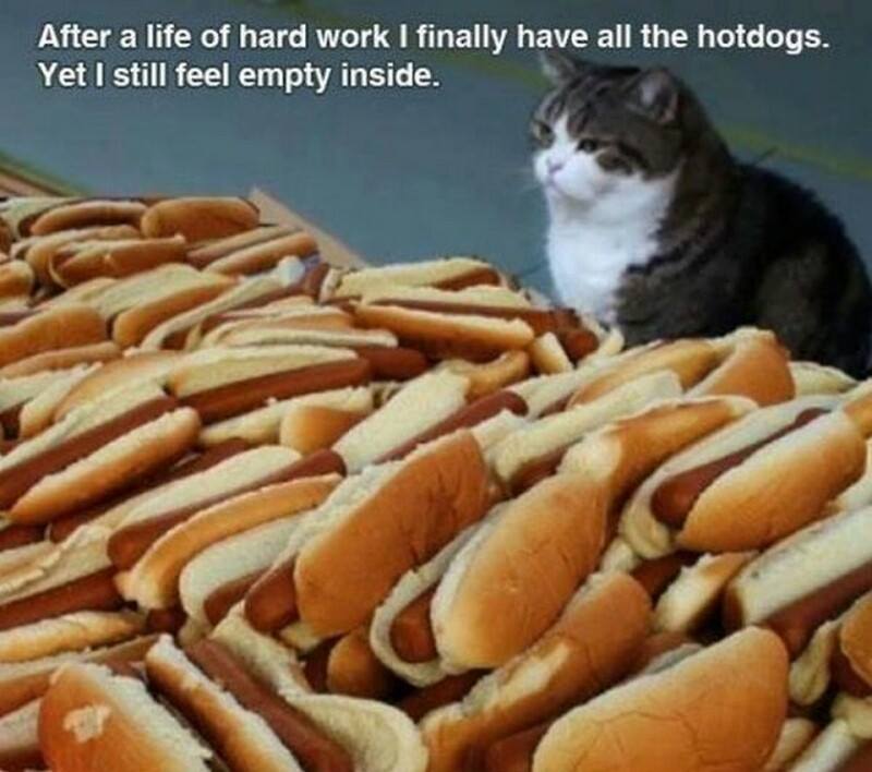 after a life of hard work i finally have all the hotdogs, yet i still feel empty inside