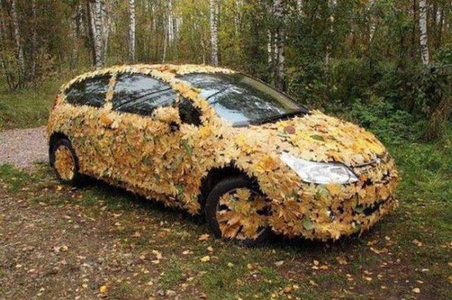 introducing the new nissan actual leaf