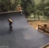 vicious dog at the skate park steals skateboard