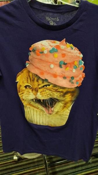 cookie hat cupcake cat
