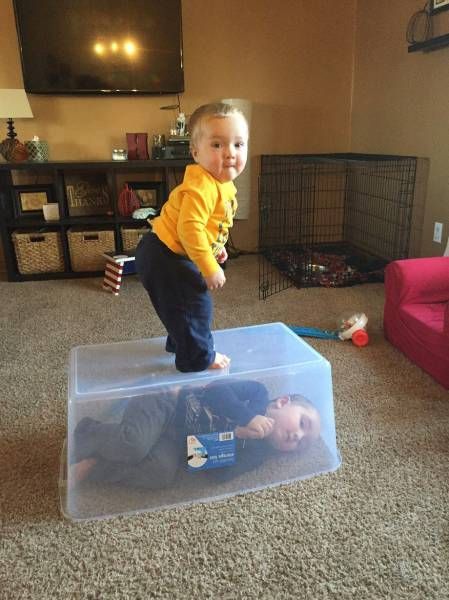 sibling catches a sibling in plastic container, presumably to keep him fresh