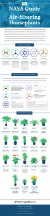 the nasa guide to air-filtering houseplants