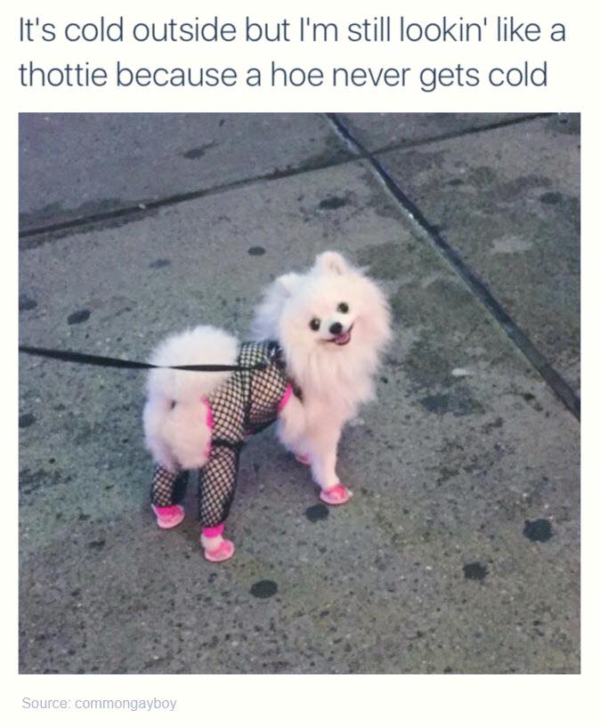 it's cold outside but i'm still looking like a thottie because a hoe never gets cold