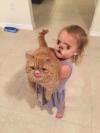 cat and toddler face swap, wtf