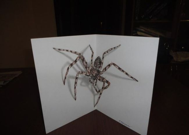 3d spider drawing
