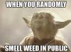 when you randomly smell weed in public, yoda, meme