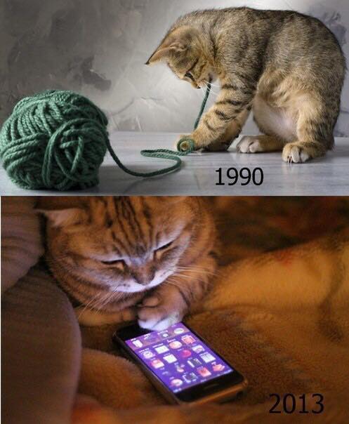 cats in 190 versus cats in 2015, smart phone, ball of yarn