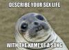 described your sex life with the name of a song, awkward moment seal, meme