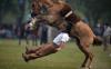 perfectly timed photo of an equestrian falling off his horse