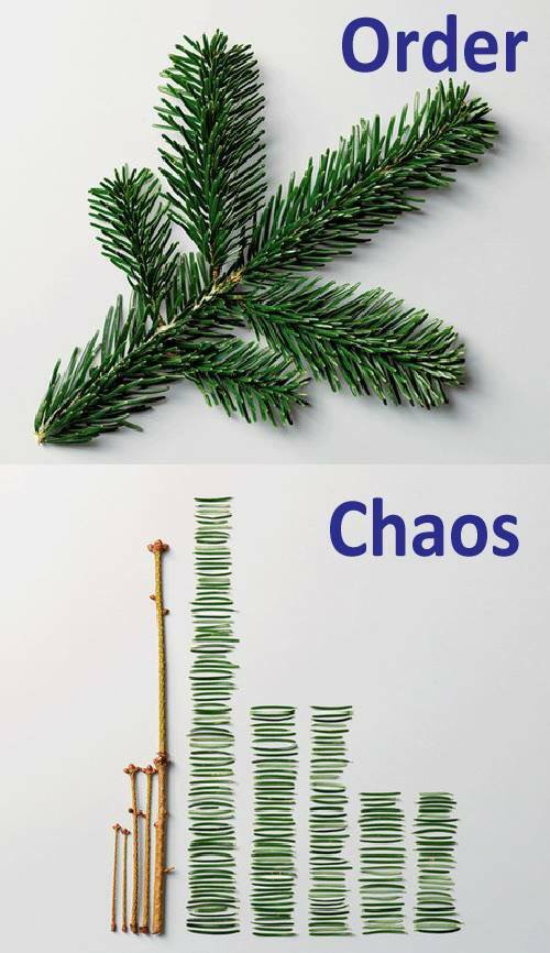 order versus chaos