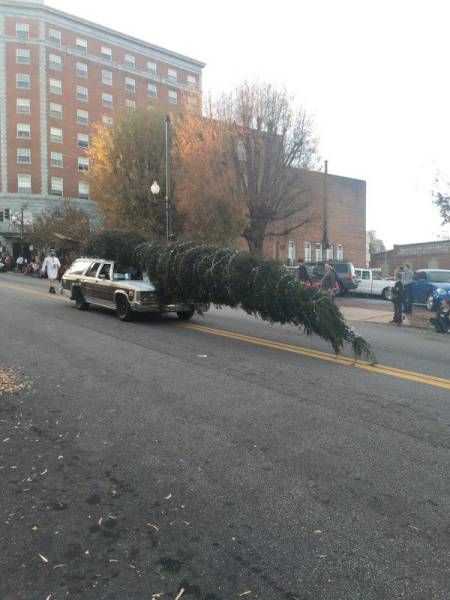 when you have to get that tree home on time and before the cops catch you