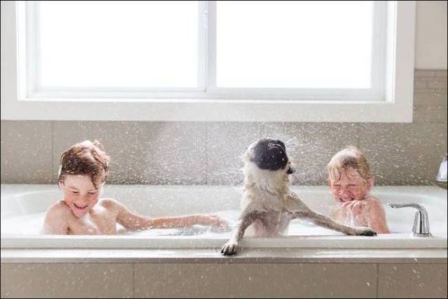 kids playing in the bath with a wet dog, childhood memories