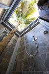 wonderful indoor outdoor shower complete with a palm tree