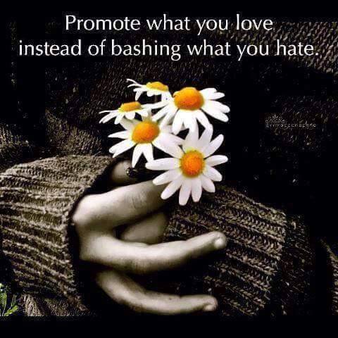 promote what you love instead of bashing what you hate