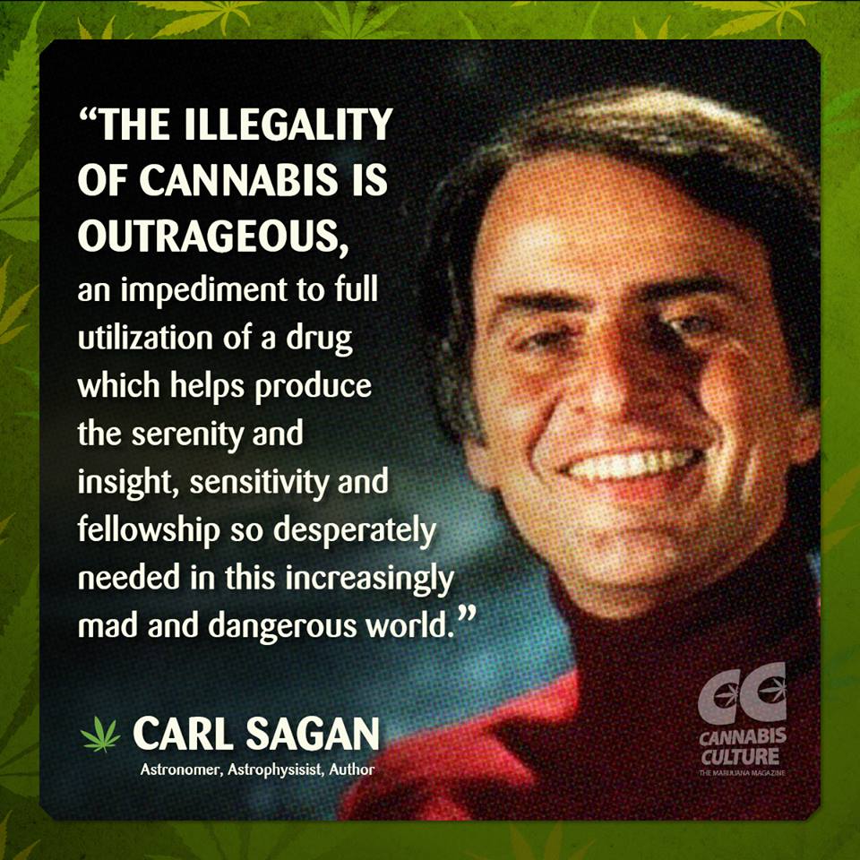 the illegality of cannabis is outrageous, an impediment to full utilization of a drug which helps produce the serenity and insight, sensitivity and fellowship so desperately needed in this increasingly mad and dangerous world