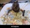 al catpone, cat wing a cigar, guns and money