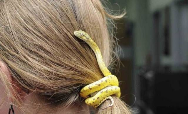 helpful garden snake holds this girls hair together