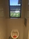 the best view for a urinal ever