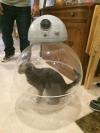 how the robot in star wars the force awakens really works, cat in ball