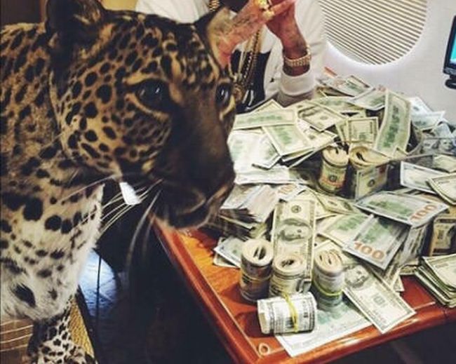 when your leopard and your cash are just overflowing