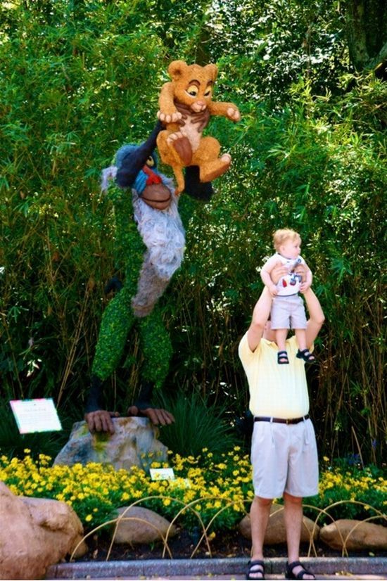 reenacting the lion king scene at disney world with your baby