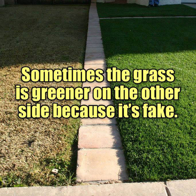 sometimes the grass is greener on the other side because it's fake