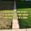 sometimes the grass is greener on the other side because it's fake
