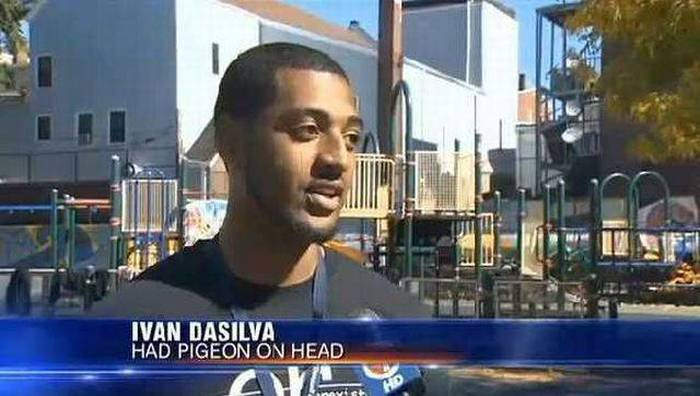 man with pigeon on head, news interview, wtf