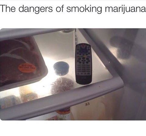 the dangers of smoking marijuana, remote control in the fridge