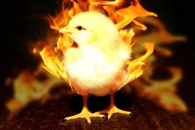 a really hot chick, flame chick
