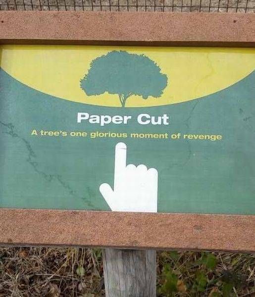 paper cut, a tree's one glorious moment of revenge