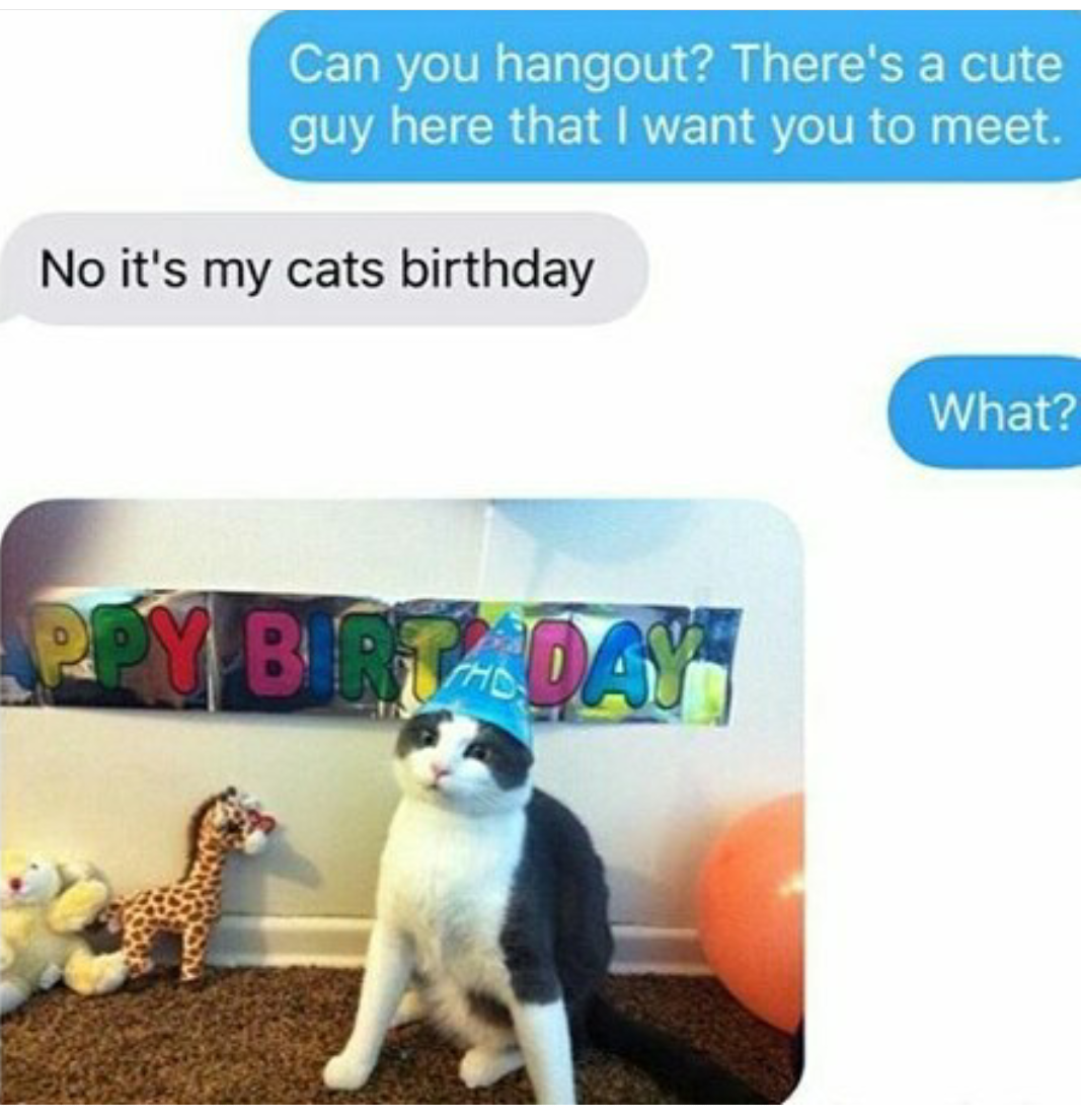 can you hangout? there's a cute guy i want you to meet, not it's my cats birthday, what?