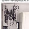 holy shit how many dogs do you have?, bondage gear