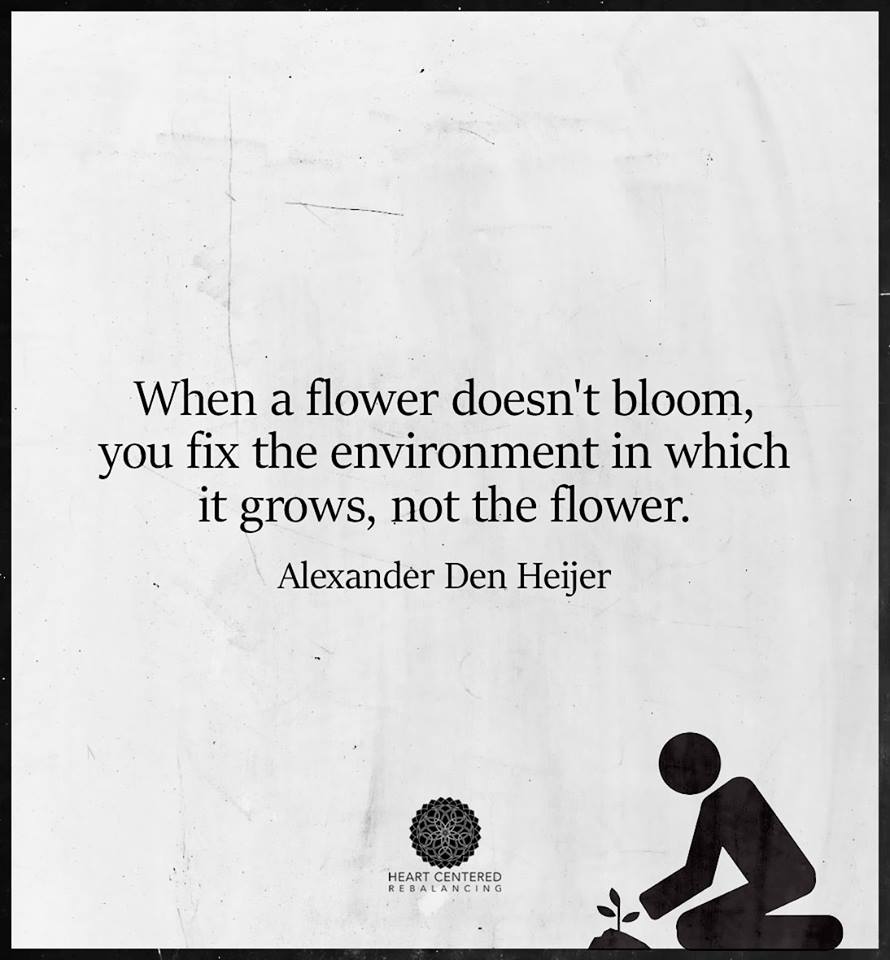 when a flower doesn't bloom, you fix the environment in which it grows, not the flower